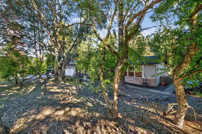 Building Photo - Charming 3-Bed / 2-Bath Retreat on Over an Acre in Sebastopol