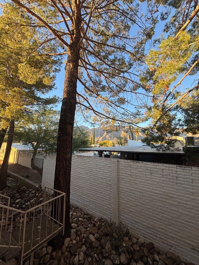 Building Photo - "Furnished 1-Bedroom Condo Retreat in Tucson’s Scenic Foothills!"