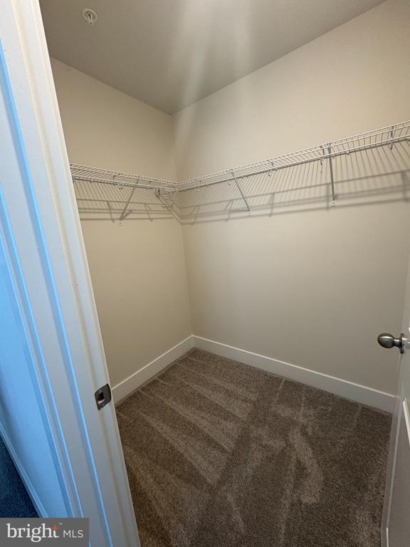 Building Photo - 2197 Winterberry Ln