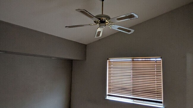 Building Photo - 321 Falcon Ct