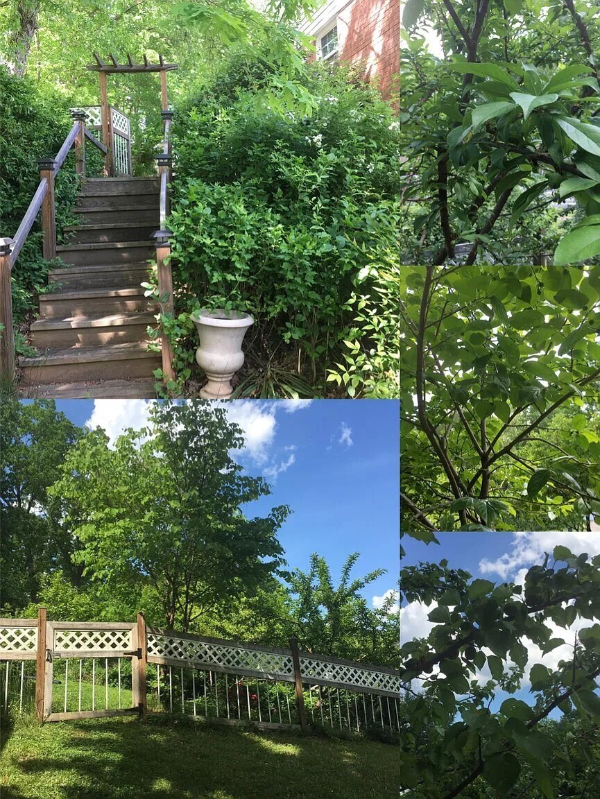 Building Photo - 9132 Braeburn Dr