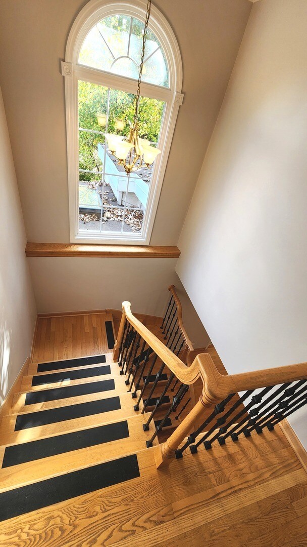 Building Photo - 1206 Lynn Terrace
