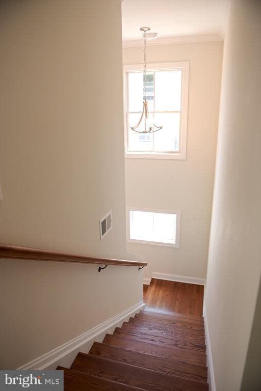 Building Photo - 205 Nassau St