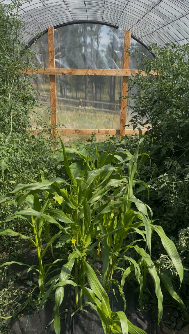 Building Photo - 6980 Wildridge Rd