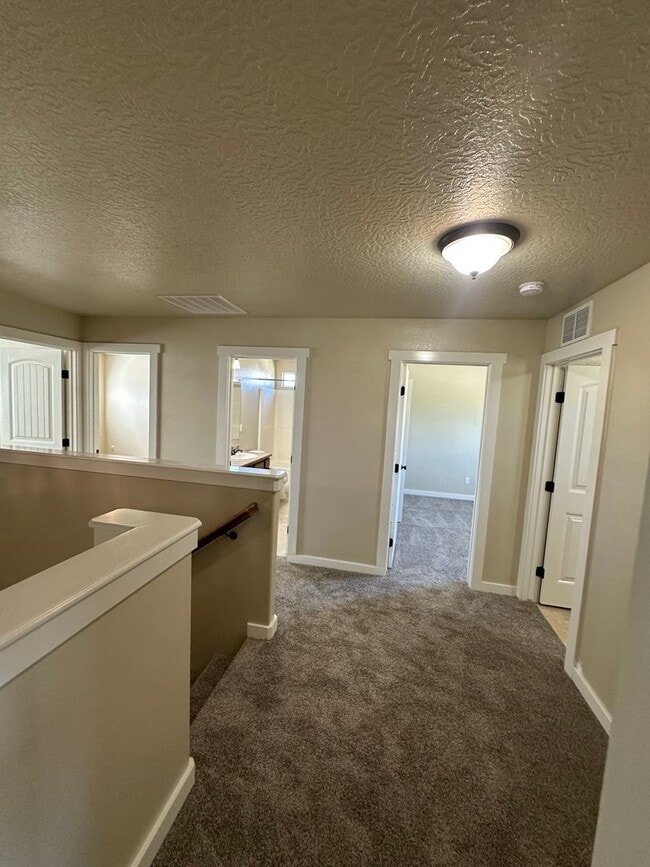 Building Photo - New Carpet! Super Meridian Location!!! Man...