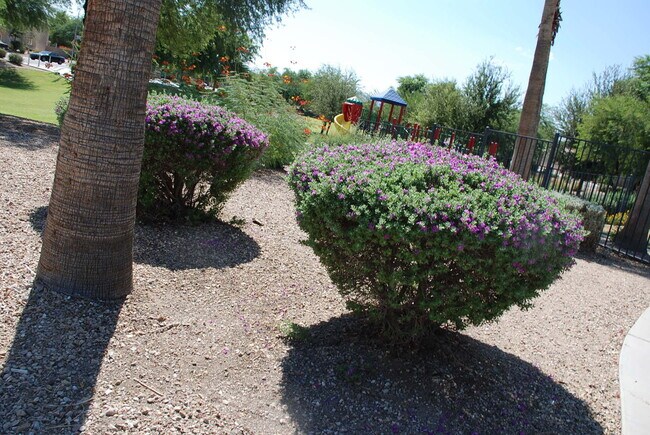 Building Photo - Beautiful Tolleson Home