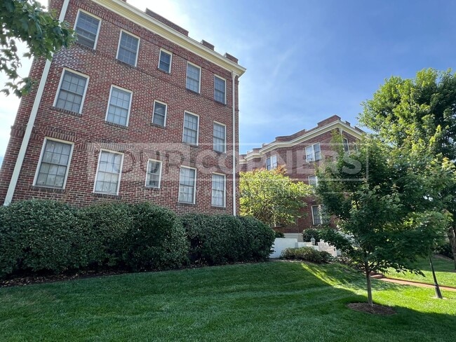 Primary Photo - Beautiful Studio Apartment