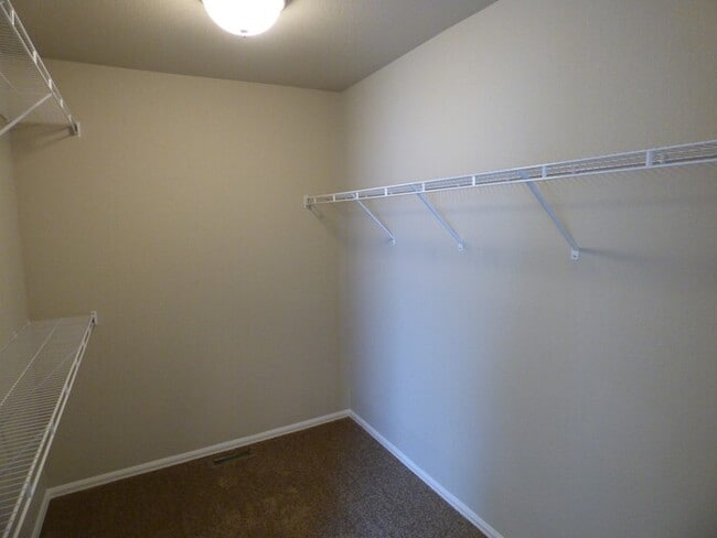 Building Photo - Lovely 2 Story Home in Windsor's Raindance Community! Corner Lot!