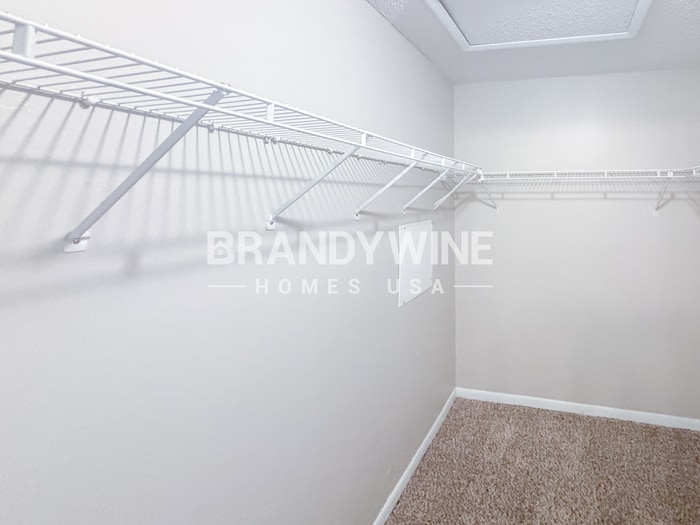 Building Photo - 734 Sandy Creek Dr