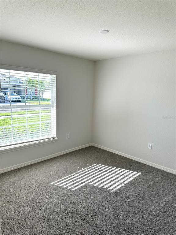 Building Photo - 1615 Eucalyptus Wy