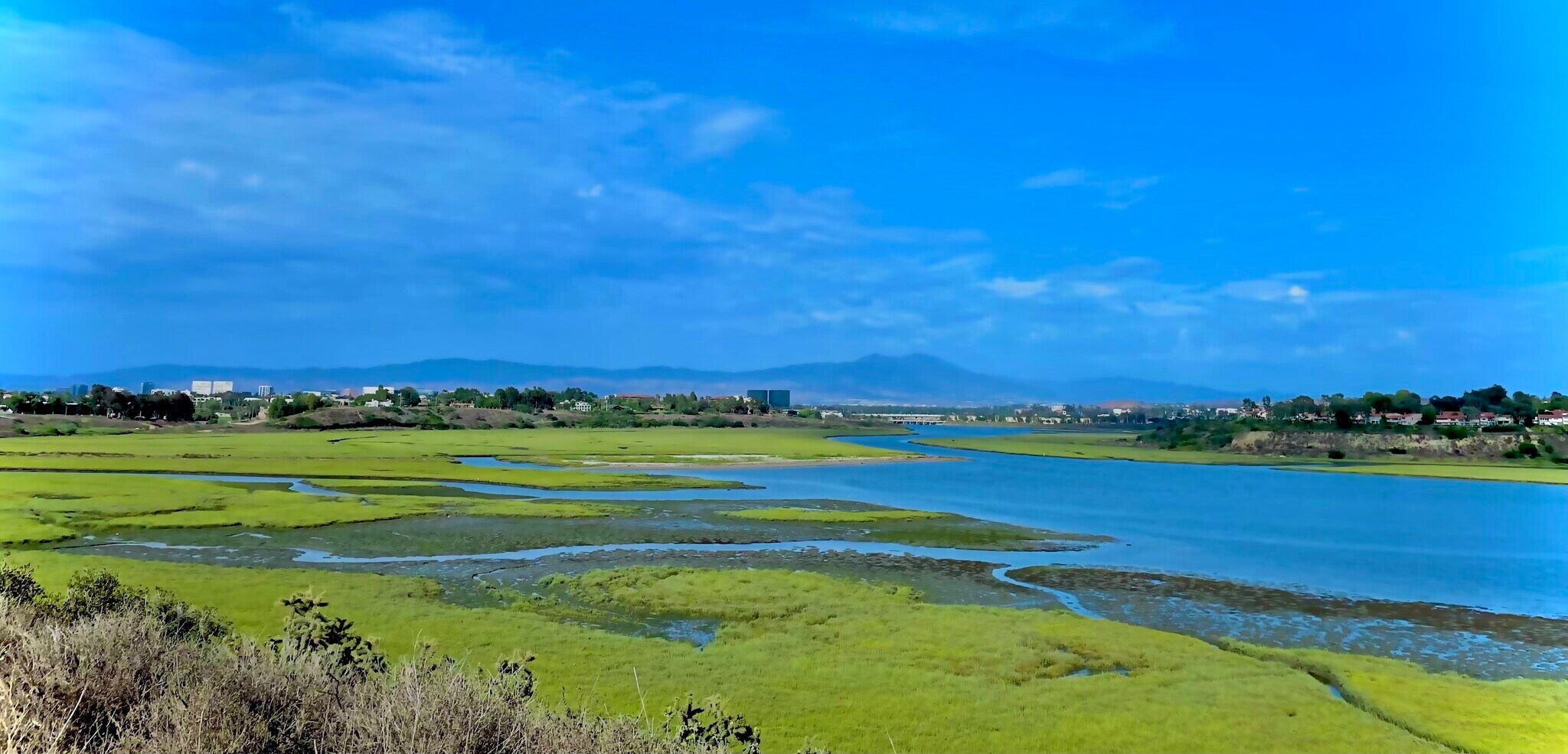 Backbay View - Summer - 385 Sunrise Cir