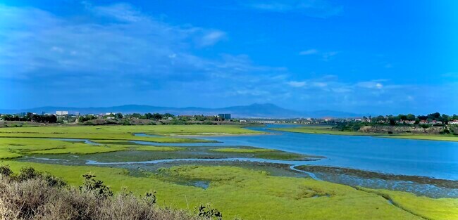 Backbay View - Summer - 385 Sunrise Cir