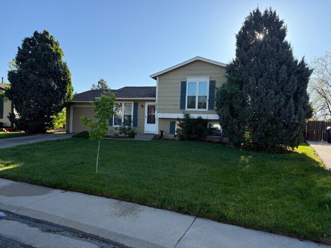 Primary Photo - 1576 S Sedalia St