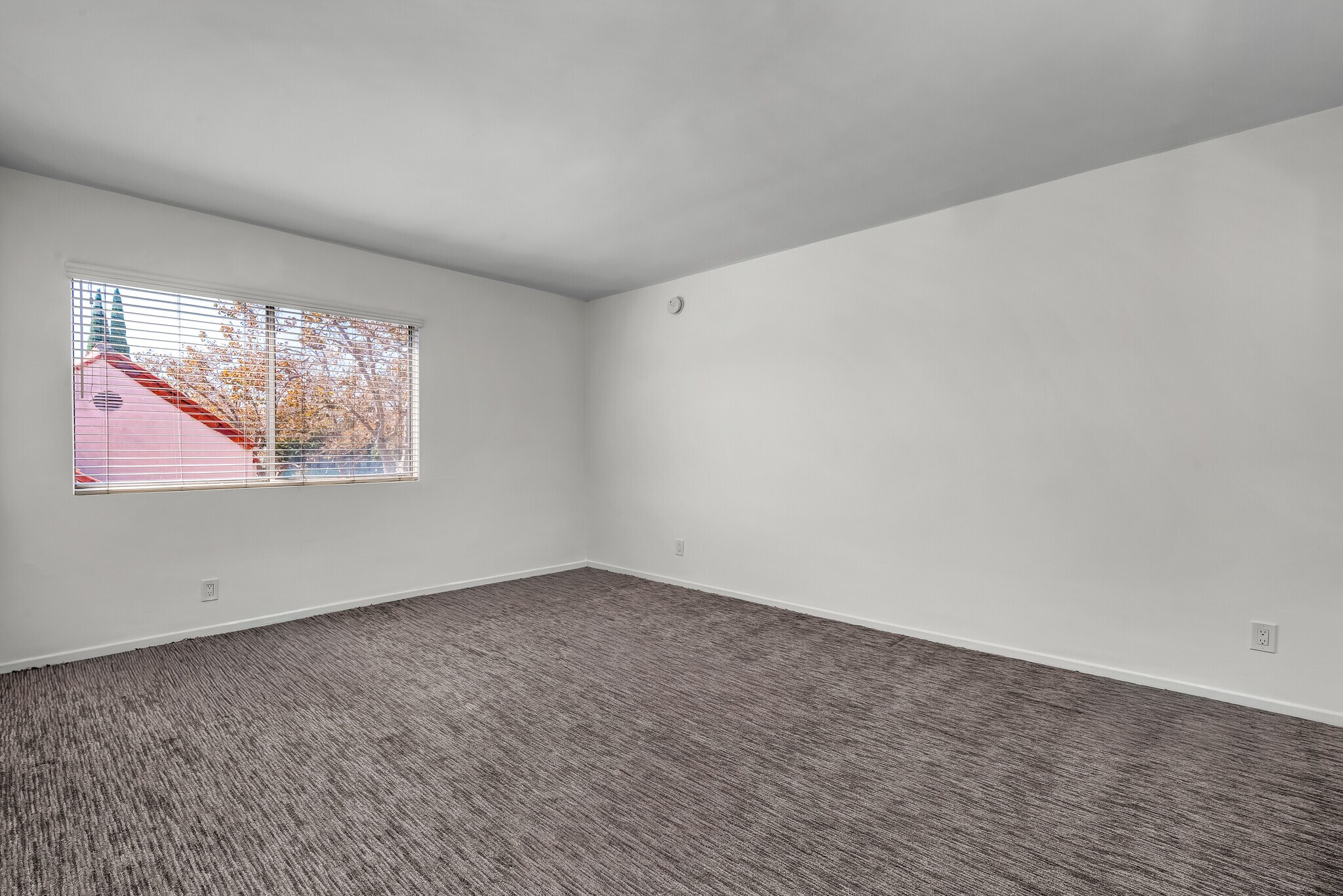 Building Photo - 248 N Rexford Dr