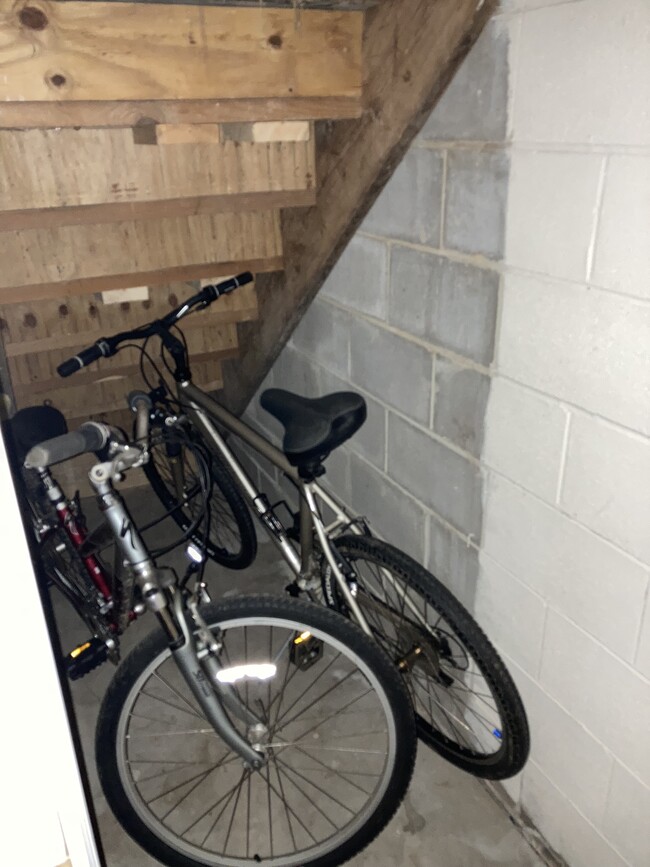 Basement Under stairs closet - 1811 Ogle Dr SE