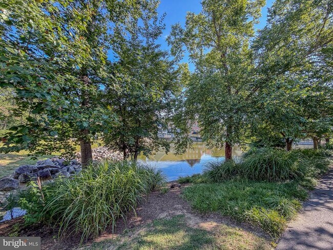 Building Photo - 12821 Mill Brook Ct