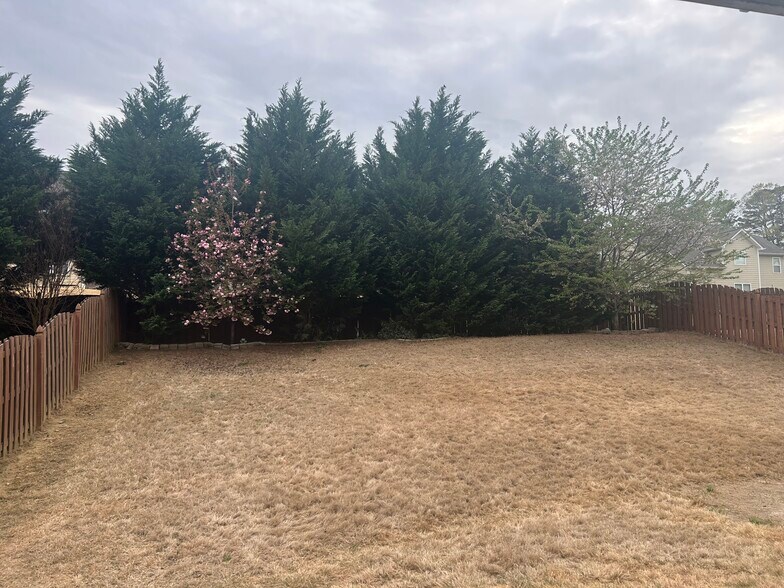 Fences in large back yard - 14005 Wyncrest Dr