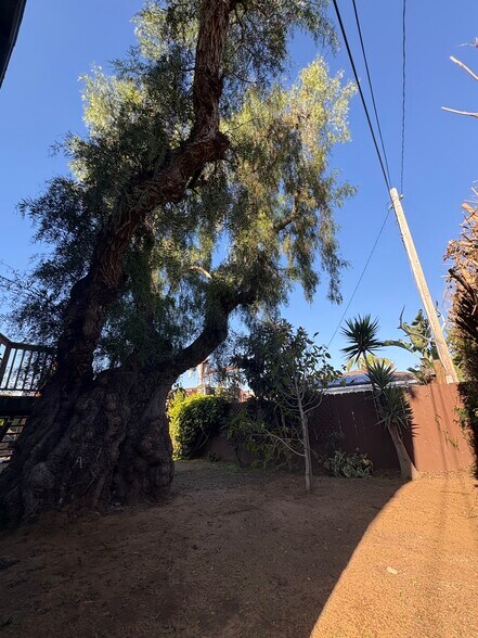 Building Photo - 4617 Del Monte Ave