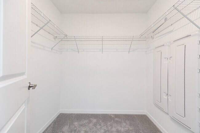 Building Photo - 32011 Powderpuff Mimosa Dr