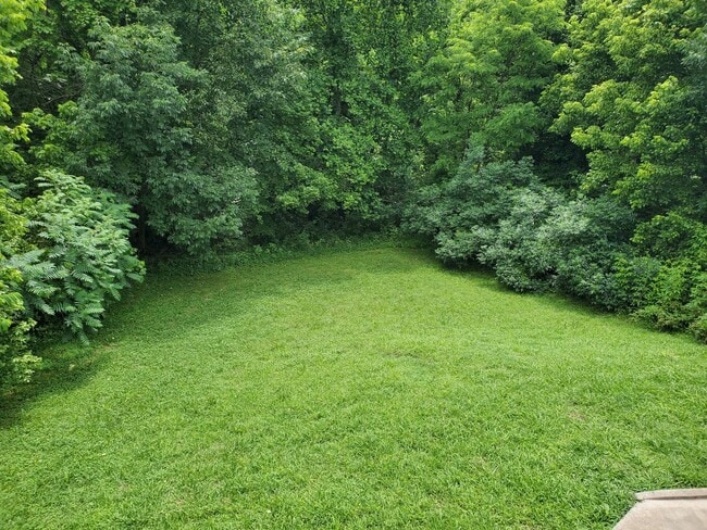 Building Photo - 3 Bed 2 Bath Spectacular Ranch Home