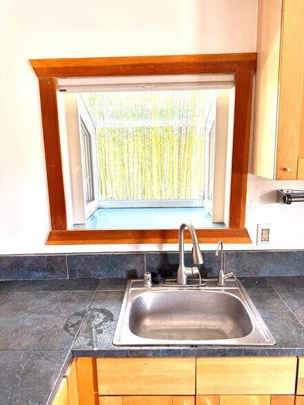 Kitchen & Garden Window - 2626 Delaware St