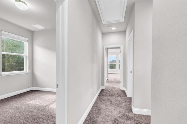 Building Photo - 6716 Vitruvius Dr