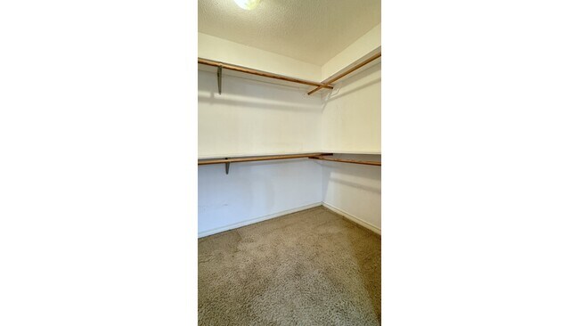 Building Photo - 203 Williamsburg Dr