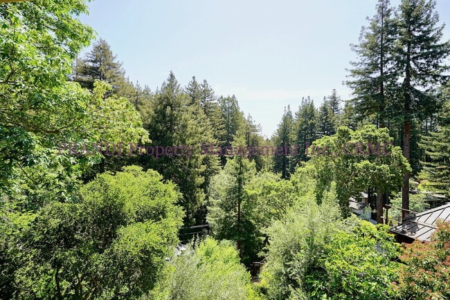Building Photo - Coming soon!  Exquisite Mill Valley Home.