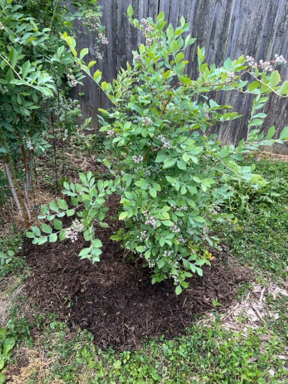 Building Photo - 107 Navaho Ct