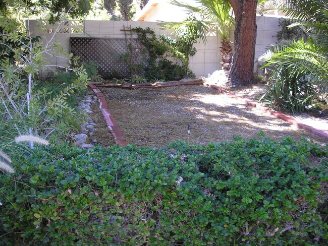 Front garden - 835 N Rose Ave