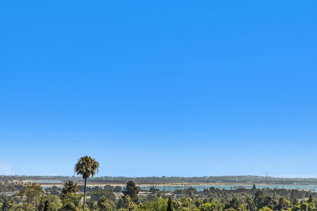 View - 2461 Geranium St