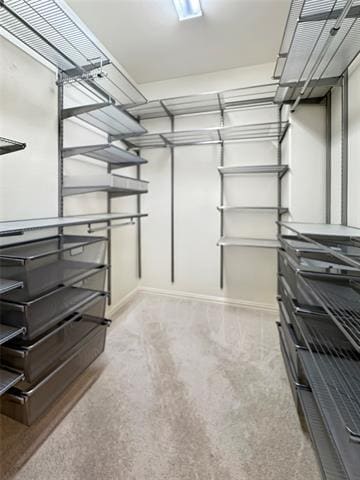 Building Photo - 5212 Fringetree Dr