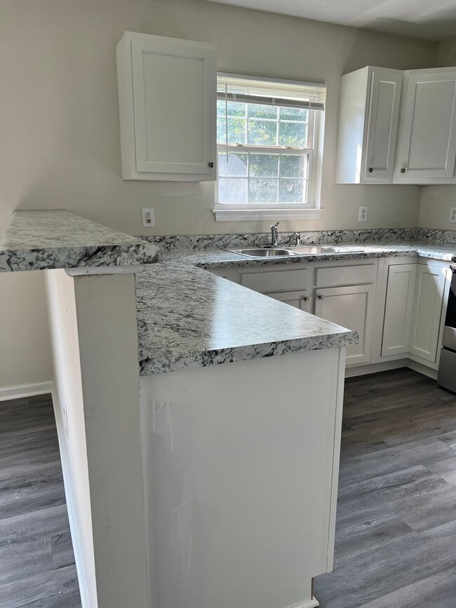 Building Photo - 3 Bedroom 2 Bath House on Solera Available...
