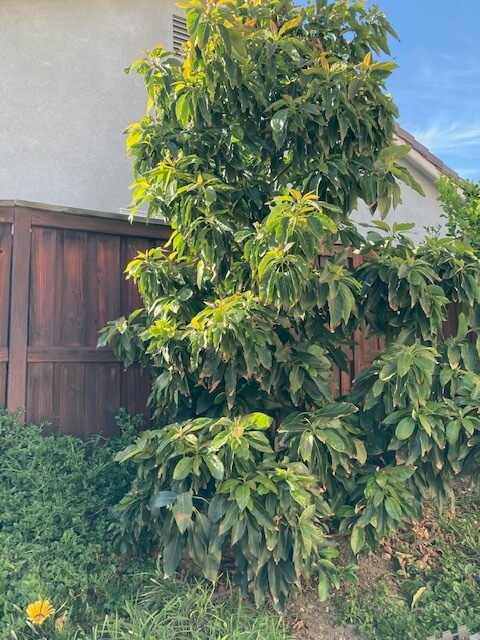 Building Photo - 35703 Date Palm St