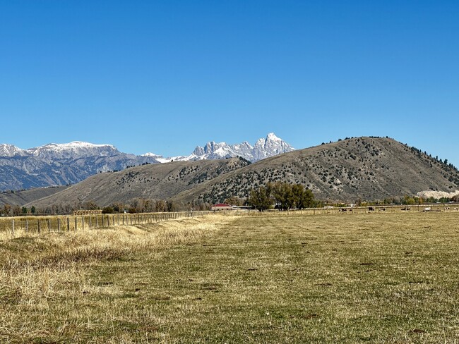 Backyard view from trail - 1525 W Pinto Dr