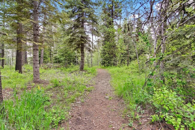 Building Photo - 712 Broken Rein Rd