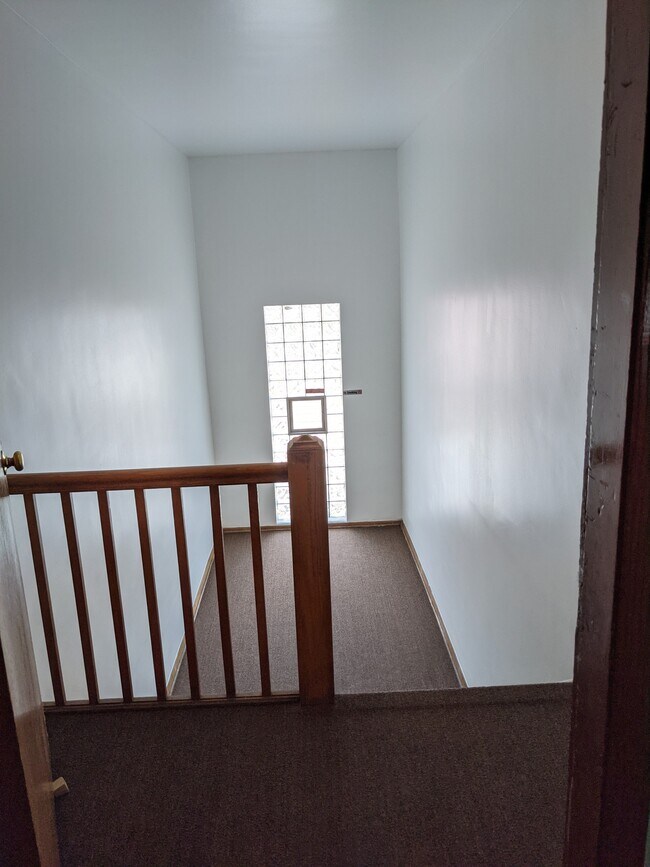 freshly painted hallways and new carpet - 3852 N Elston Ave
