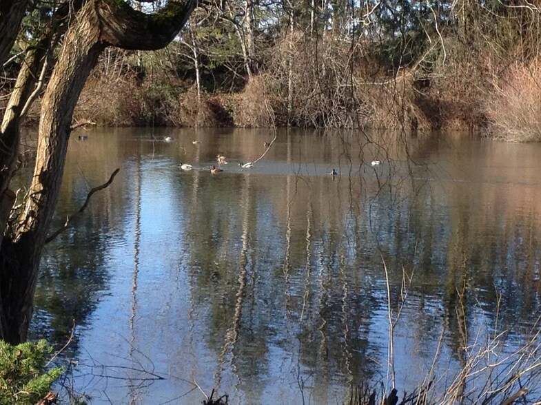 Building Photo - 4436 Alderbury St