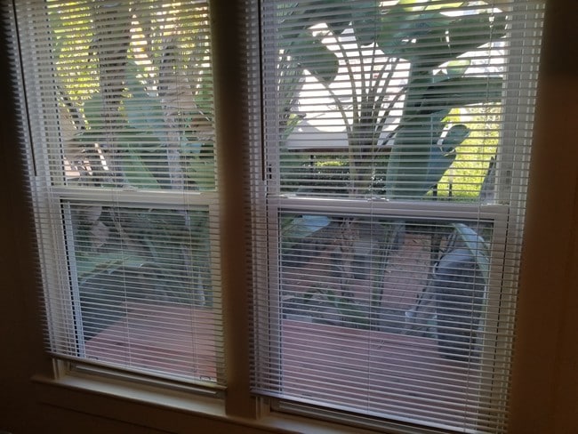 Building Photo - 3989 Beethoven St