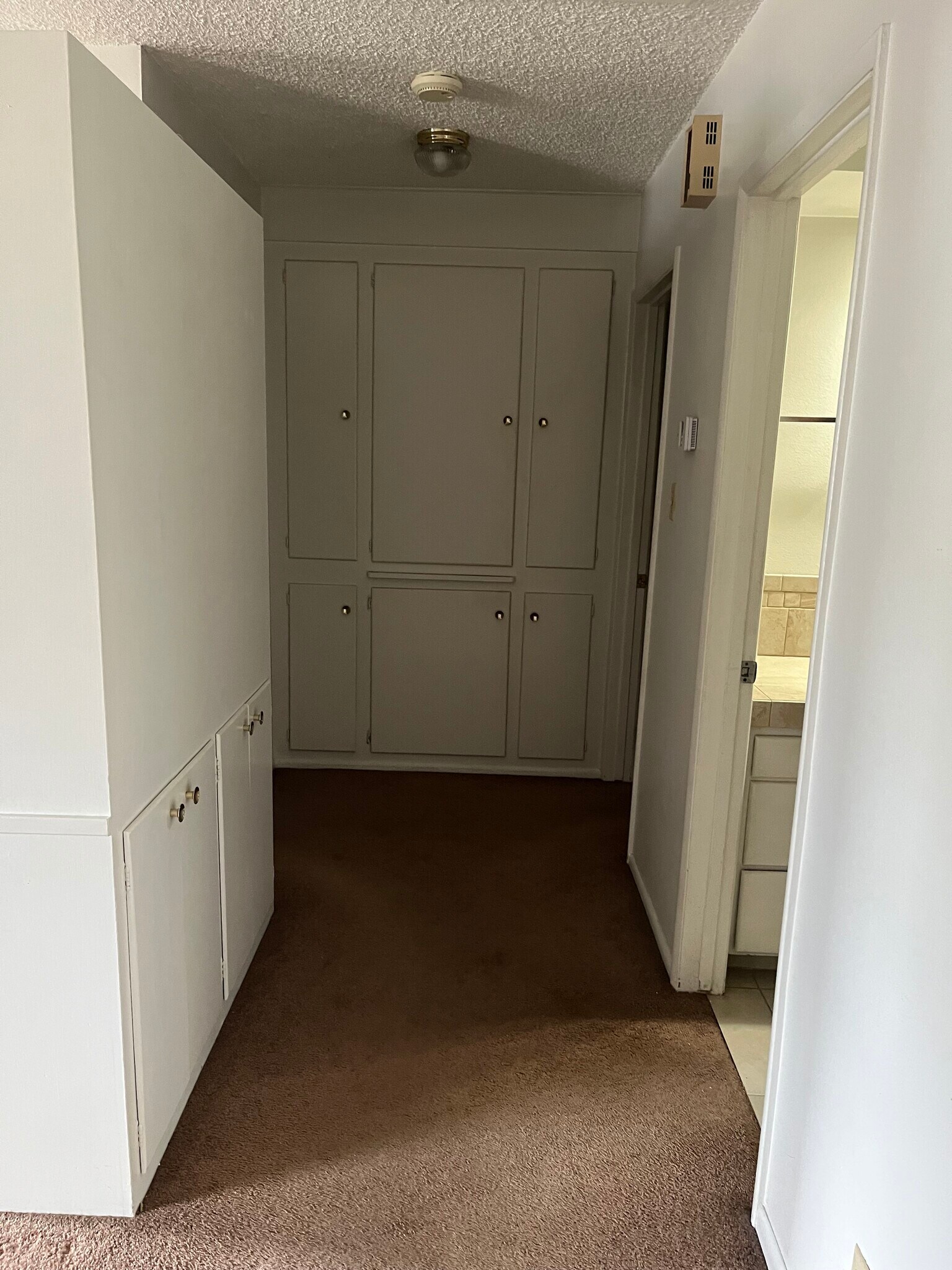 Large linen cabinet between bedrooms. Hall will have new LVP flooring - 513 28th St