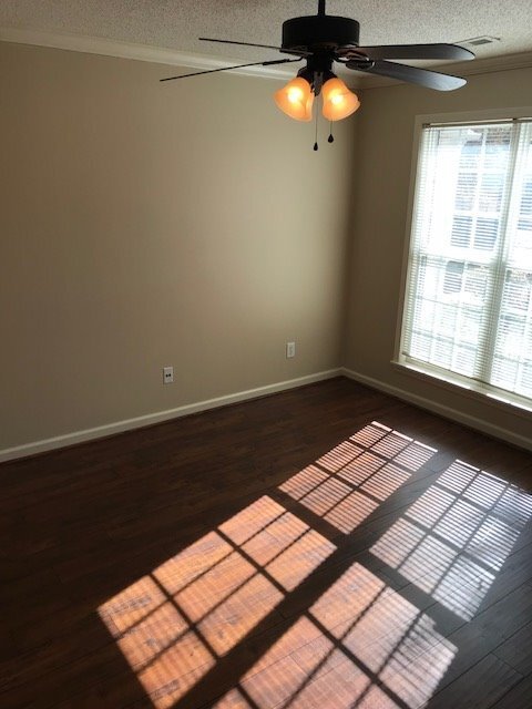 Building Photo - 289 Ivy Pl