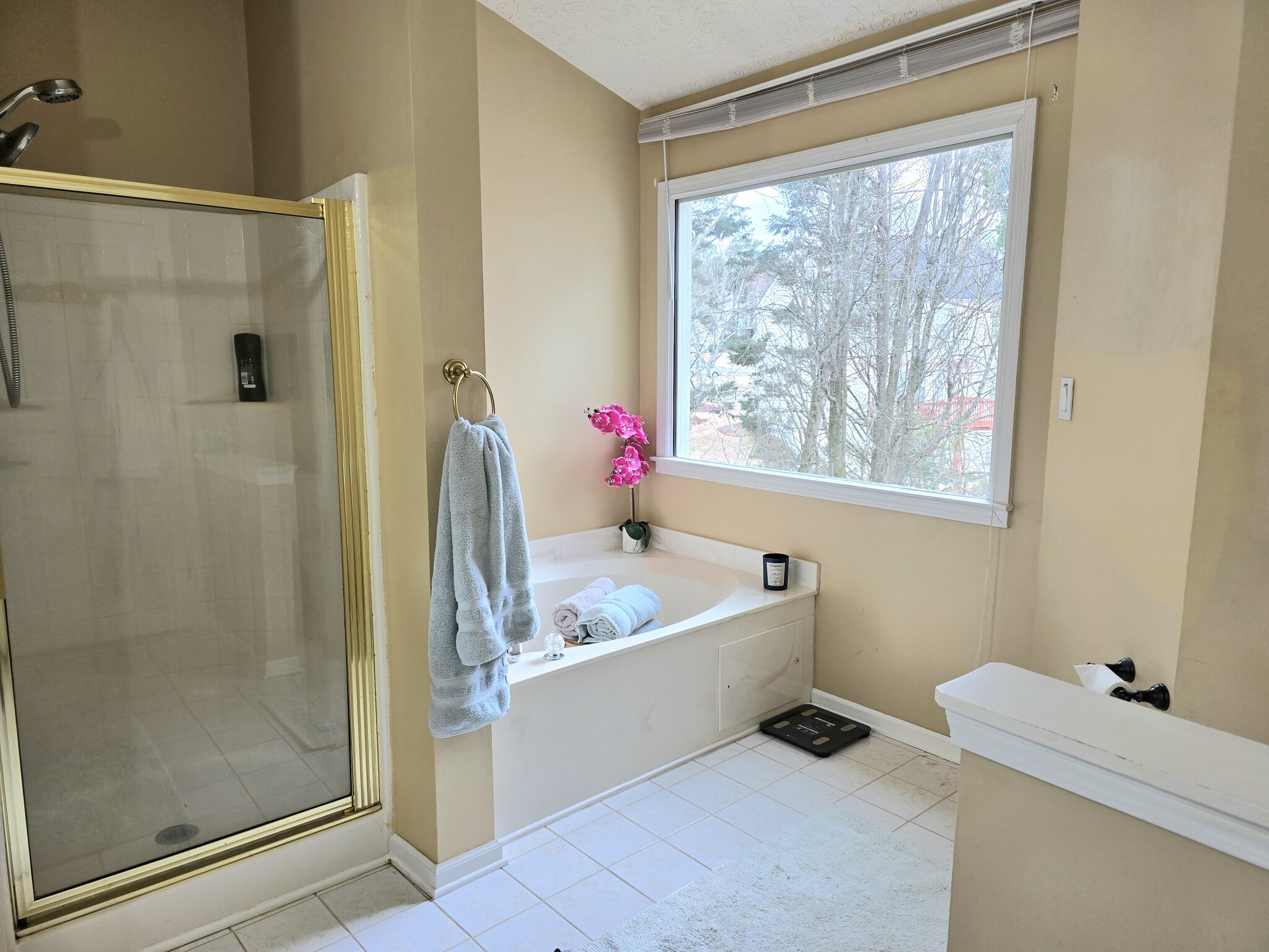 Master Bathroom - Tub - 2103 Chatou Pl NW