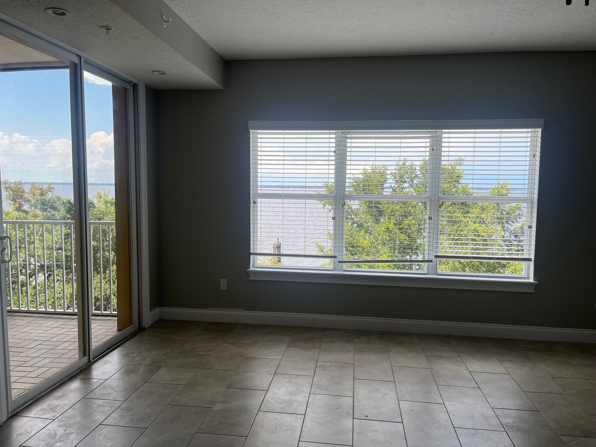 View from living area - 225 W Seminole Blvd