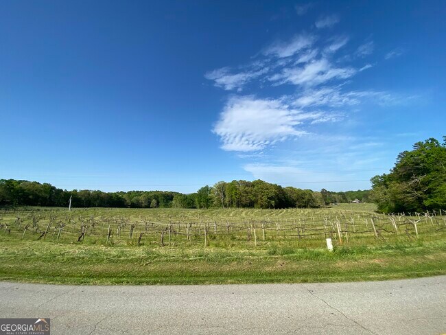 Building Photo - 1024 Stonepile Rd