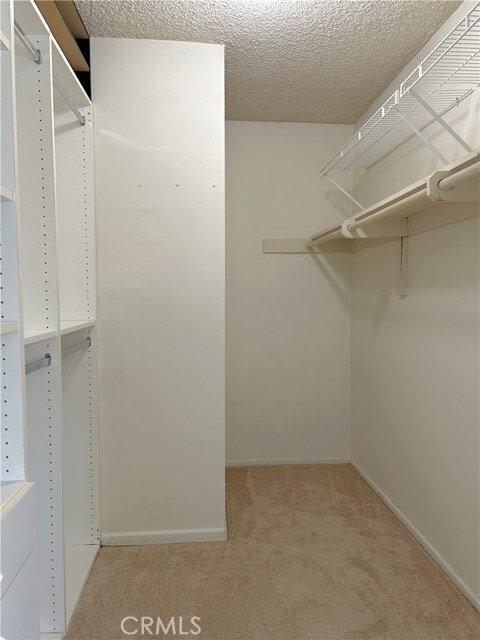 Building Photo - 7262 Carlton Ave