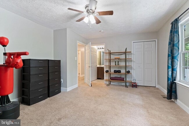 Building Photo - 12418 Red Rock Ct