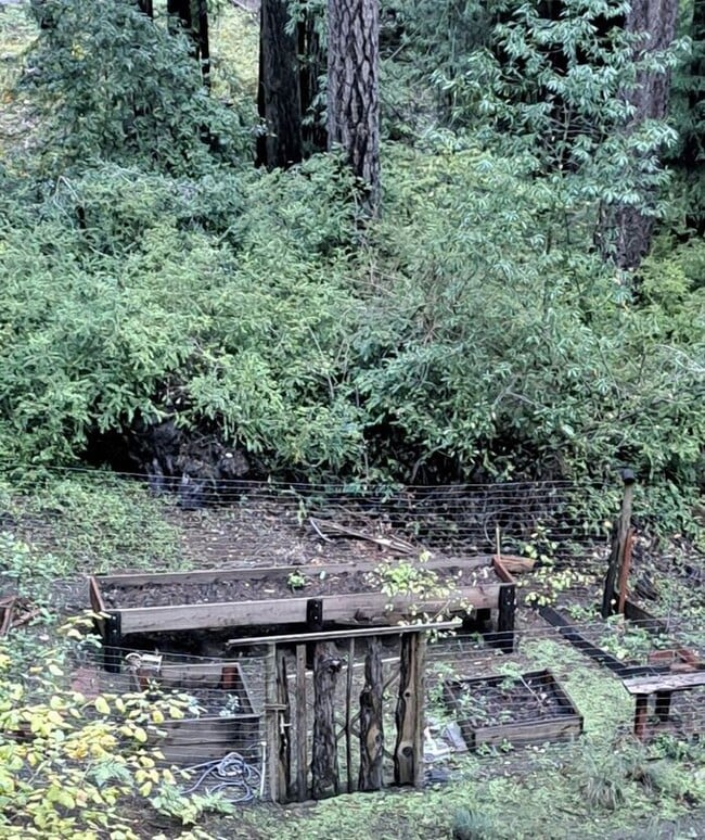 Building Photo - Sun drenched Sanctuary in the heart of the Redwoods minutes from Town