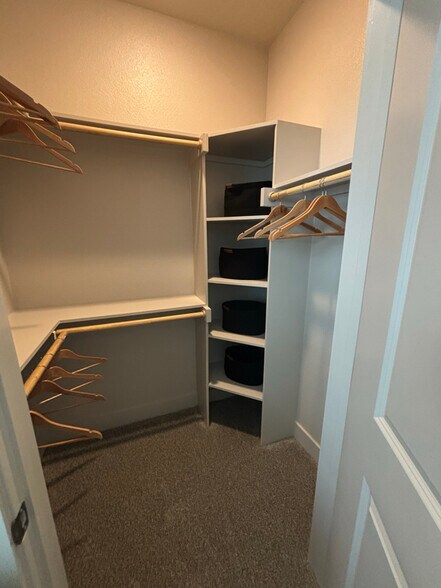 Building Photo - 702 Celebration Wy