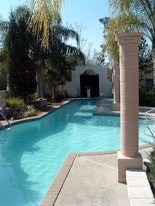 75' Long pool - 19390 Powell Rd