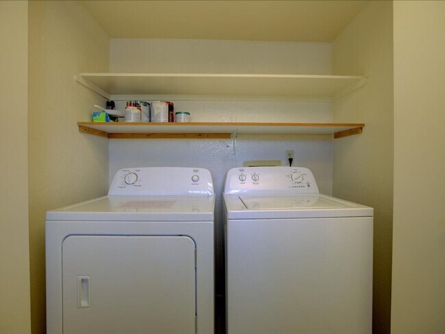 Building Photo - NOW ACCEPTING DOGS!